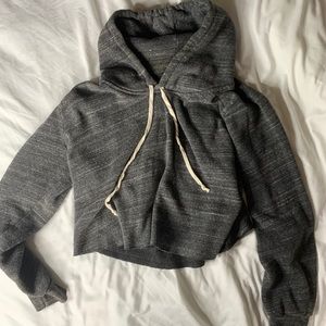 Gray cropped brandy hoodie 🕸